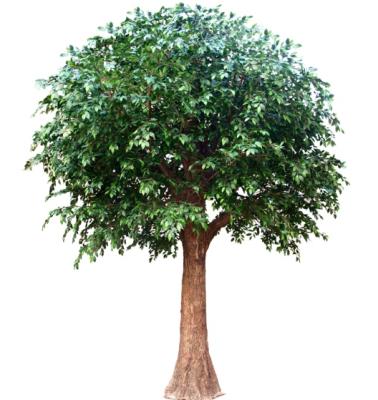 China Cheap large artificial oak tree minimalist outdoor large artificial ficus trees for garden decoration for sale