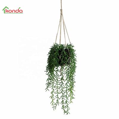 China New Decoration Plant Succulent Hanging Ivy Artificial Plants Plastic, Fabric, Plastic, Real Wooden Trunk for sale