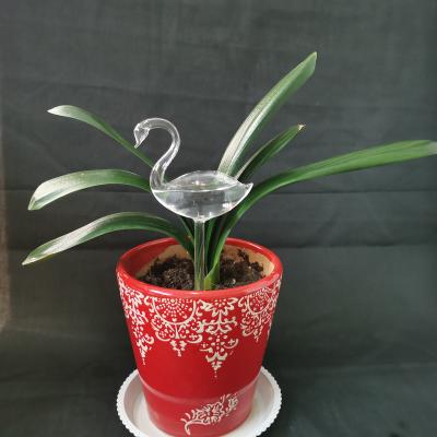 China China Latest Custom Glass Planter for sale