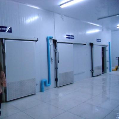 China Factory cold storage.refrigeration storage.cold room.cold for sale