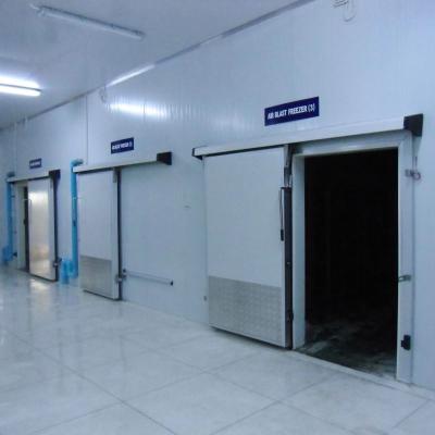 China Cood Room Air Blast Freezing And Cold Store Warehouse For Food for sale