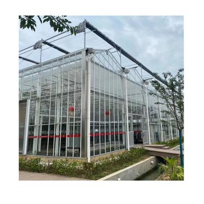 China Factory Direct Supply High Light Transmittance Modern Greenhouse Glass Span Width 8.0m/9.6m/12m Greenhouse for sale