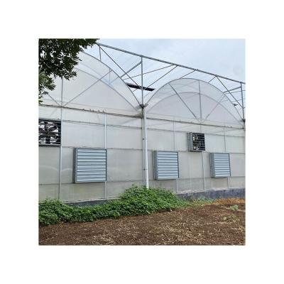 China PE Quality Assurance Greenhouse Project Multi-Span Plastic Film Greenhouse for sale