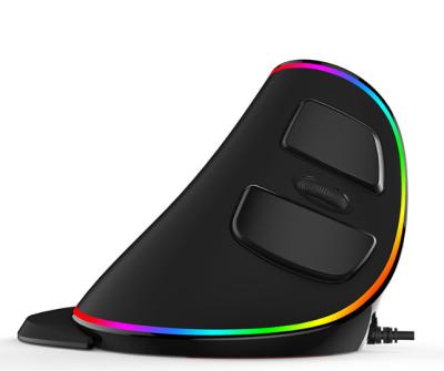 China Mini Special Ergonomic Vertical Mouse 1600 DPI Adjustable Removable Palm Rest Optical Gaming Mouse Computer Mouse for sale