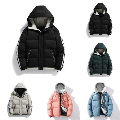 China Factory Wholesale Anti-wrinkle Hooded Winter Padded Mens Down Jacket for sale