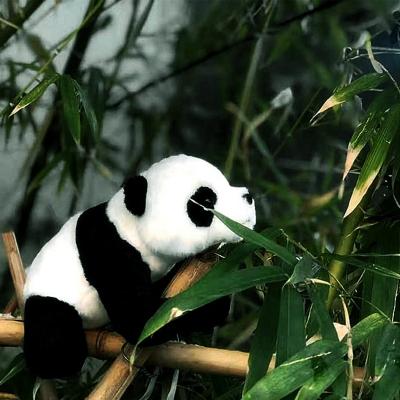 China Cute Design Panda Plush Toy Customized Gift 2020 Cute Soft Stuffed Animals Gift New for sale