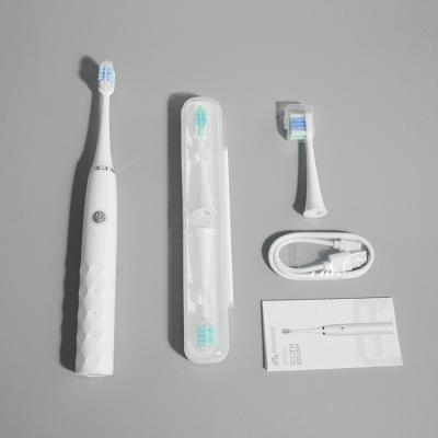 China Pro Ultra Sonic Motor Battery Powered Whitening Toothbrush and Cordless Filling Adult Electric Toothbrush for sale