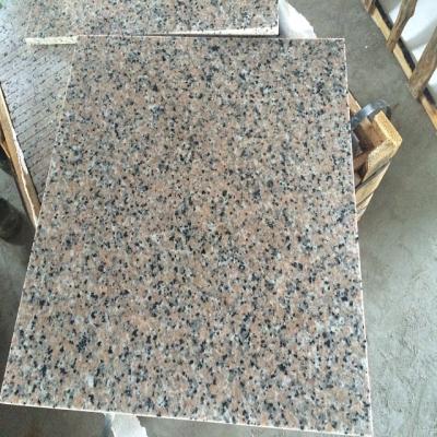 China Natural Stone Granite Wall Tile Rosa Porrino Pink Granite Polished for sale