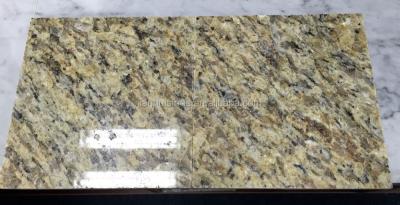 China giallo granite colors giallo gold granite brazil gold granite Syc194 for sale