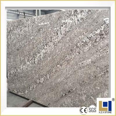 China Factory direct price bianco d'antico wall tile factory sale gray granite for sale