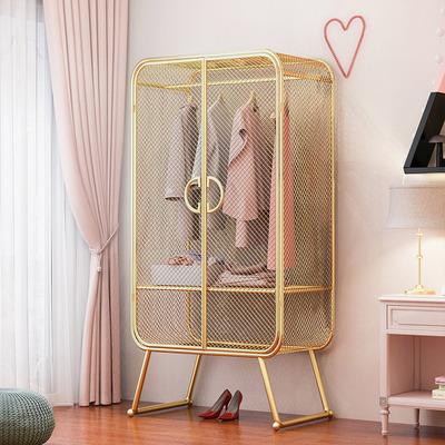 China Cabinet Gold Living Room Bedroom Furniture Wardrobe Storage Steel Basket (Other) Adjustable Modern Movable Double Doors for sale