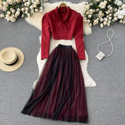 China Elegant Crop Autumn Solid Long Sleeve Notched Waterproof Women's Sets Tops Mesh Midi Line One Skirts Two Piece Set 2022 New for sale