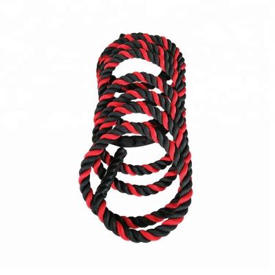 China Eco-friendly Material And Duable Custom Size Polyester Fitness Training Battle Ropes for sale