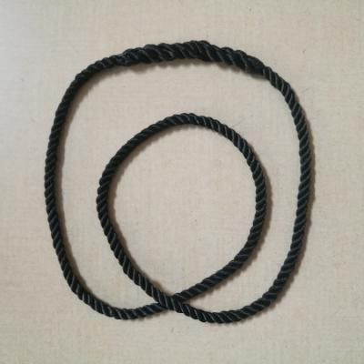 China Polyester Twisted Circle Rope Endless Loop For Lifting for sale