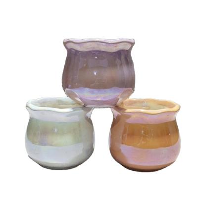 China Biodegradable gold and silver plated juicy creative color meat mini pot plant flower pot skirt flower pot for sale