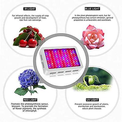 China Seed Starting High Intensity Led Grow Light 1000 Watt IR UV Led Grow Light Lights for sale