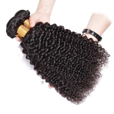 China Luster Hot Selling Free Sample Natural Curly Body Wave Brazilian Body Wave Fake Micro locs Tie Hanger Natural Hair Extension Bundles for sale