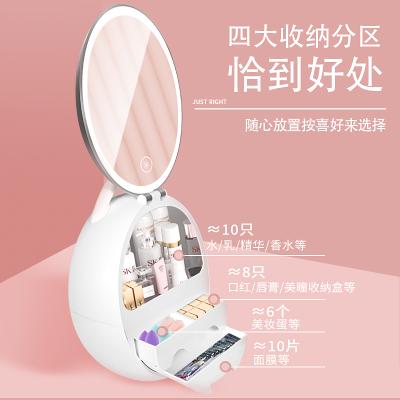 China Fashion Makeup Mirror Organizer Case Multifunction Women Rechargeable Led Lightweight Beauty Makeup Cosmetics Storage Box With Mirror for sale