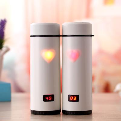 China Display Temperature Smart Temperature Sports Show Thermos Mug , Double Wall Vacuum 304 Stainless Steel LED Water Bottle for sale