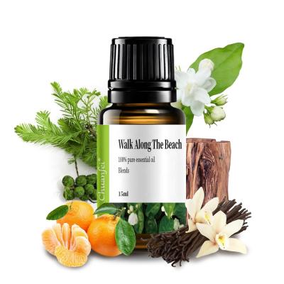 China Peppermint Surprise Baolin OEM 100% Pure Natural Walk Along The Beach Essential Oil Blends For Diffuser for sale