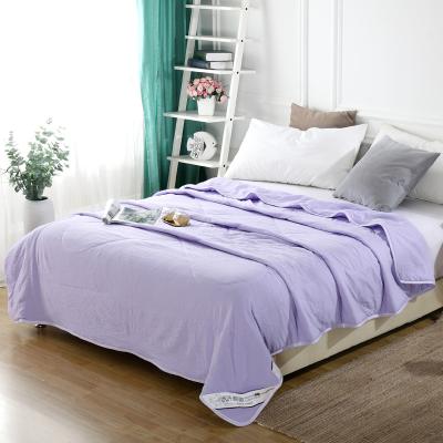 China New Nondisposable 100% Cotton Quilting Soft And Comfortable Vietnam Single Silk Comforter for sale