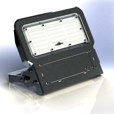 China LANDSCAPE/Park/Garden IC high quality ip65 isolation driver led spotlight 80 watt 100w for outdoor project for sale