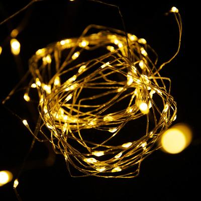 China Led String Lights Bolylight Photo Clip Wall Decoration Cooper Wire Light for sale