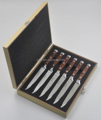 China Viable Professional Steak Knife Set for sale