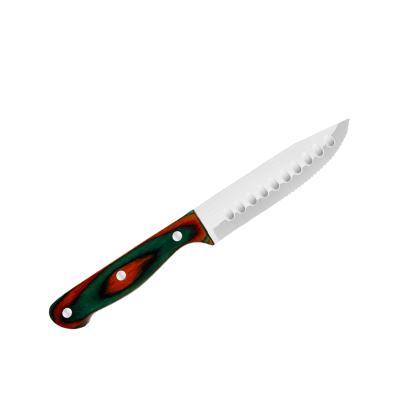 China Viable Color Wooden Handle Meat Cutting Knife With Serrated Blade Steak Knives for sale