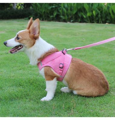 China 2021 New Wholesale High Quality Thoughtful Pet Leash Personalized Dog Chest Vest Style Harness for sale