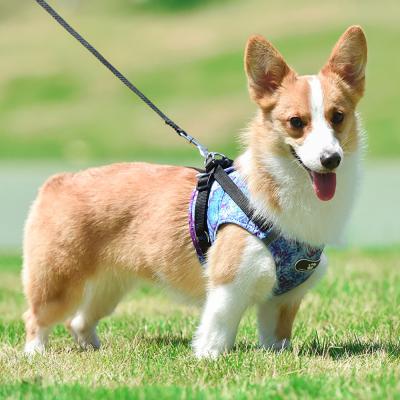 China 2021 Factory Professional Manufacture Custom Strong Retractable Pattern Dog Harness With Leash for sale