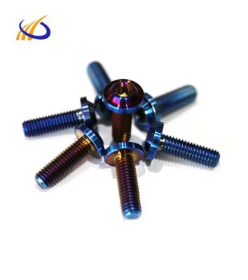 China High quality titanium bolt/screw, titanium fastener for motorcycle LD-TS91 for sale