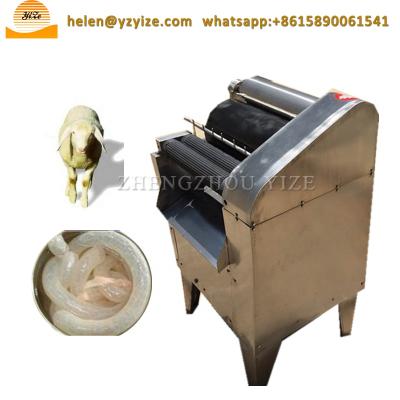 China Meat processing plants factory price pork intestine sausage casing machine cleaning remover for pork casings for sale