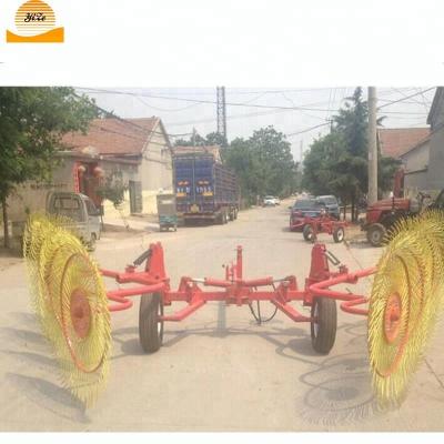 China Agriculture Farm Machinery Tractor Rake Hay Rake Teeth / Hay Tedder for sale