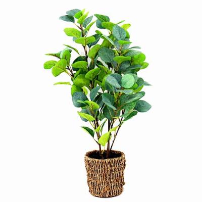 China Art Decor Wholesale Artificial Green Plastic Tree Plants Leaves Indoor&Outdoor Decoration Faux Plant Potted Home Tree Bonsai for sale