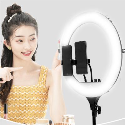 China Smart Phone Factory Direct Photography Stents With 24 Inch Foldable Beauty Fill Lights for sale