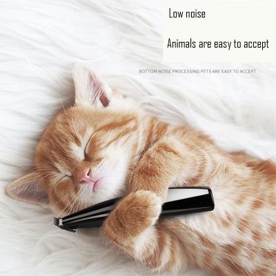 China USB Punching Engraving Shear Home Use Groooming Tool Electric Pet Shaver For Dog for sale