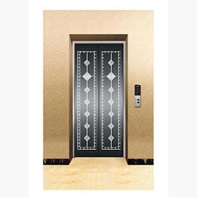 China High Quality Contemporary Safety Parts Panel Door Elevator Elevator Landing Door Parts en venta