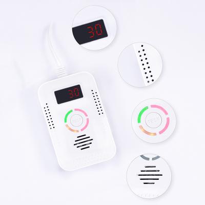 China Household Compound Leak Detector Natural Gas Carbon Monoxide 2in1 Co And Gas Alarm Safe Multiple Gas Detector for sale