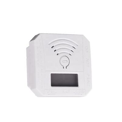 China Low Battery Warning Mini CO Detector Autonomous Mini CO Detector LCD Display Concentration CO Detector Alarm for sale