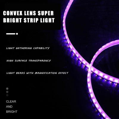 China Garden Color Changing Waterproof Smart LED Strip Light SMD5730 120LEDs/m IP65 Strip Light for sale