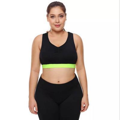 China Antibacterial Plus Size Womens Sports Bra With Printing Private Label for sale