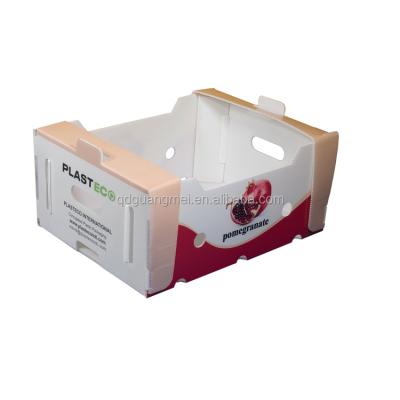 China Recyclable China Fresh Fruit Vegetable Plastic Packaging Box for sale