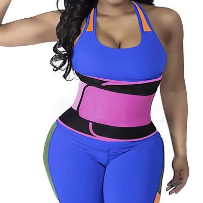 China DAVI 2021 Custom Premium Elastic Back Double Logo Belt Adult Plus Size Women Neoprene Waist Trainer for sale