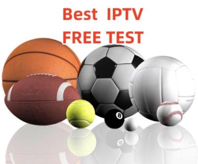 China Panda Player Iptv m3u 12months iptv dealer panel for android tv box 4k trial for sale