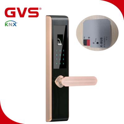 China 2019 Newest KNX KNX/EIB GVS Door Lock K-Bus Smart Home System Fingerprint Card Digital Keypad KNX Integrate Smart Lock Door KNX Integrate Smart Door Lock for sale