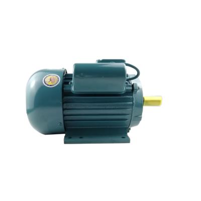 China Totally enclosed single phase asynchronous motor for mixer reductor 220v for sale