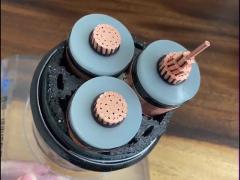 XLPE Insulated Cable