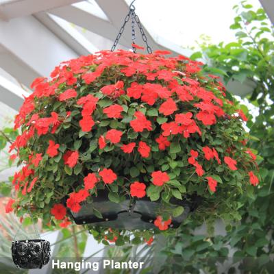 China Plastic Hanging Ball Planter Basket SL-Y040 Ball Hanging Planter for sale