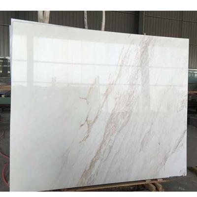 China Modern Mason Custom Cut to Grade Greek White Marble Per Square Meter Quality Supplier Interesting White Marble Slab Tiles for sale